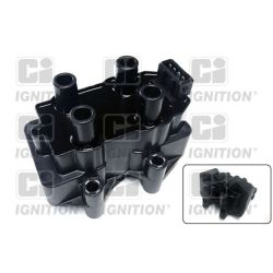 Ritė, uždegimas QUINTON HAZELL XIC8131