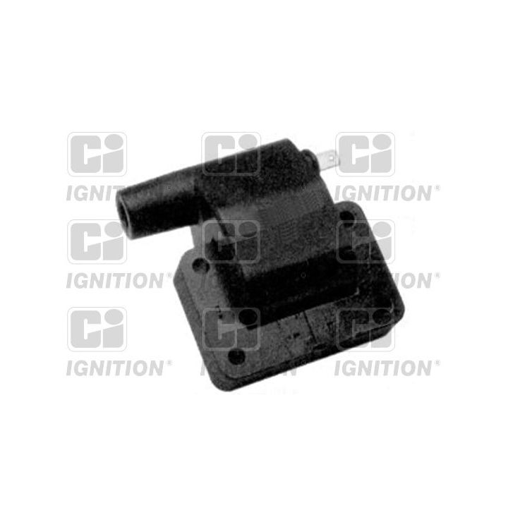 Ritė, uždegimas QUINTON HAZELL XIC8137