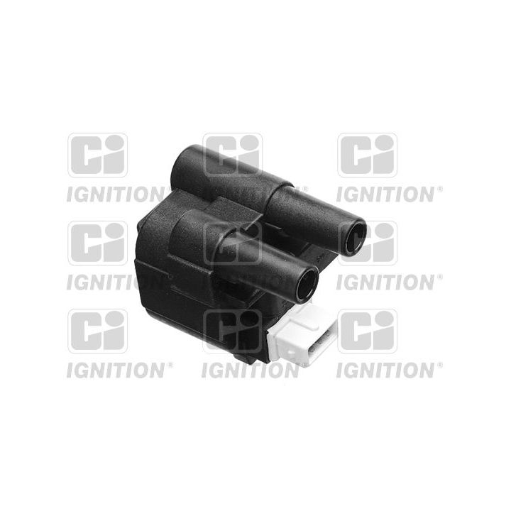 Ritė, uždegimas QUINTON HAZELL XIC8176