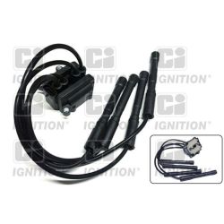 Ritė, uždegimas QUINTON HAZELL XIC8195