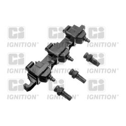 Ritė, uždegimas QUINTON HAZELL XIC8225