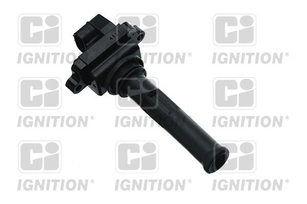 Ritė, uždegimas QUINTON HAZELL XIC8229