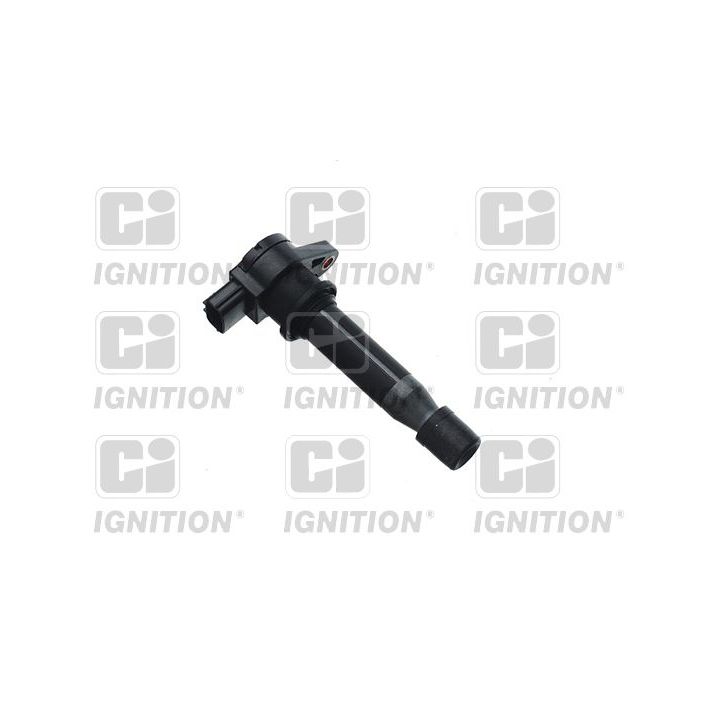 Ritė, uždegimas QUINTON HAZELL XIC8230