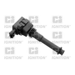 Ritė, uždegimas QUINTON HAZELL XIC8231