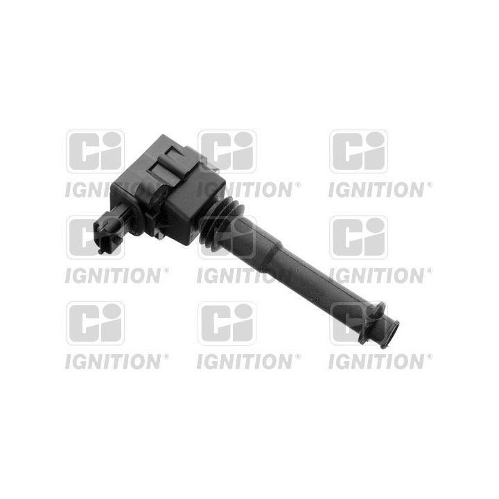 Ritė, uždegimas QUINTON HAZELL XIC8231