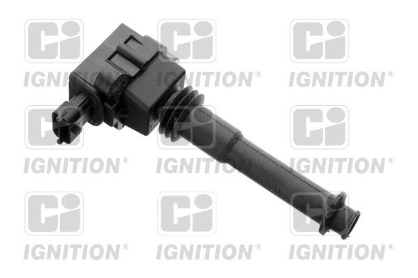 Ritė, uždegimas QUINTON HAZELL XIC8231