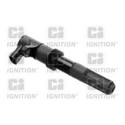 Ritė, uždegimas QUINTON HAZELL XIC8237