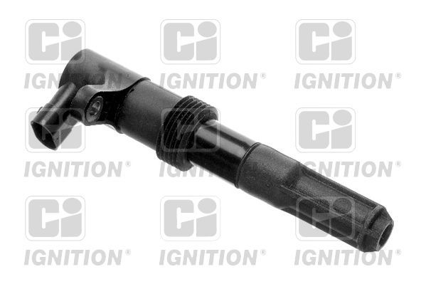 Ritė, uždegimas QUINTON HAZELL XIC8237