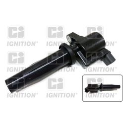Ritė, uždegimas QUINTON HAZELL XIC8238