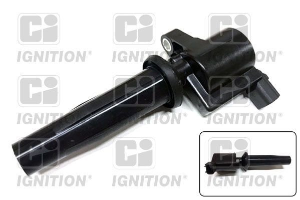 Ritė, uždegimas QUINTON HAZELL XIC8238