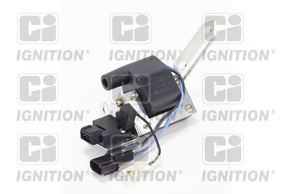 Ritė, uždegimas QUINTON HAZELL XIC8241