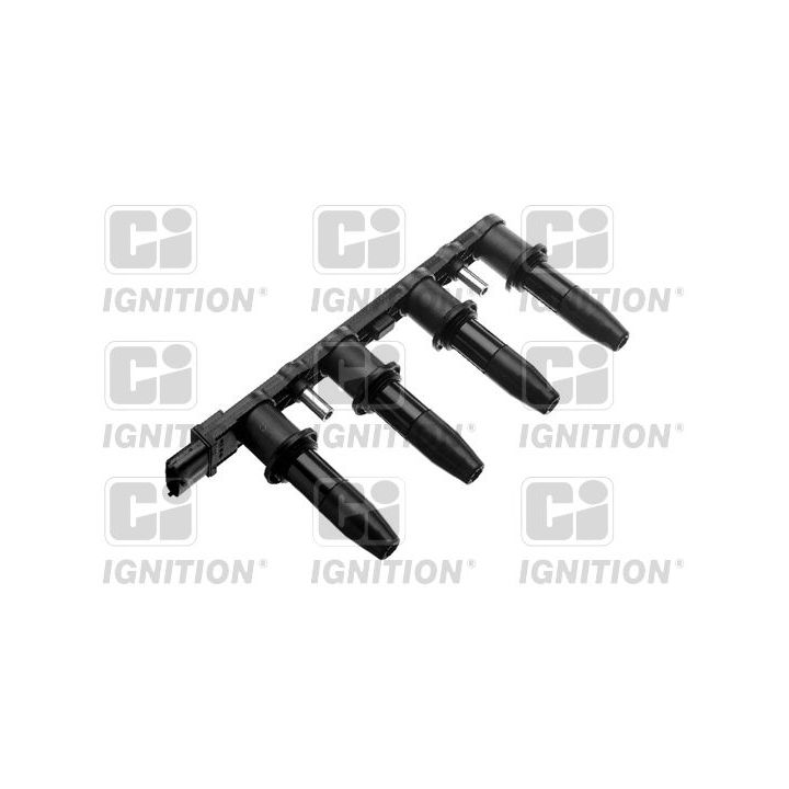 Ritė, uždegimas QUINTON HAZELL XIC8254