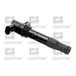 Ritė, uždegimas QUINTON HAZELL XIC8259