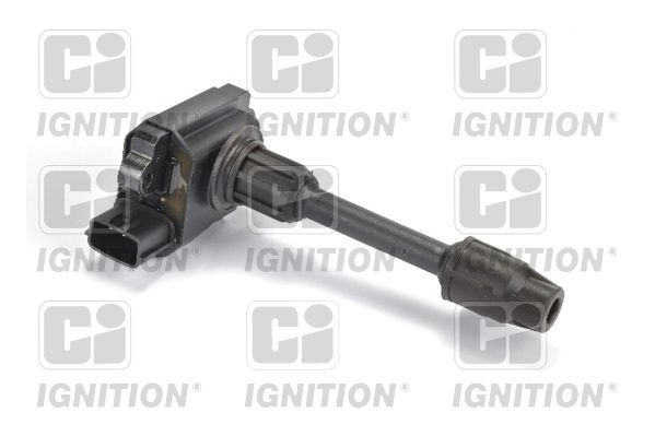 Ritė, uždegimas QUINTON HAZELL XIC8307