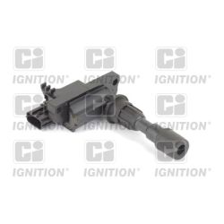 Ritė, uždegimas QUINTON HAZELL XIC8315