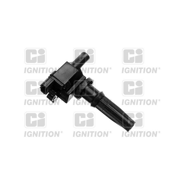 Ritė, uždegimas QUINTON HAZELL XIC8319