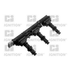 Ritė, uždegimas QUINTON HAZELL XIC8333