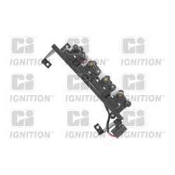 Ritė, uždegimas QUINTON HAZELL XIC8334