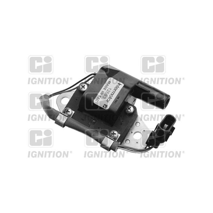 Ritė, uždegimas QUINTON HAZELL XIC8350