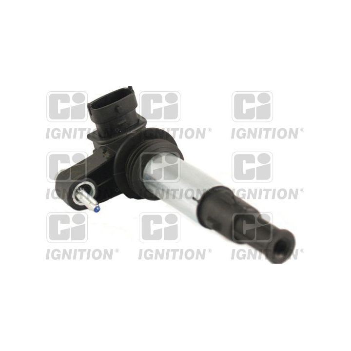 Ritė, uždegimas QUINTON HAZELL XIC8374