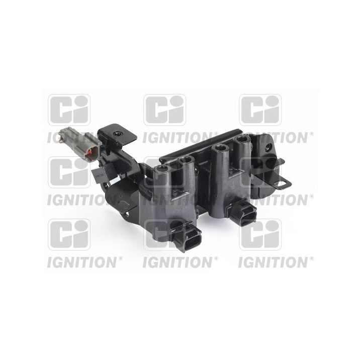 Ritė, uždegimas QUINTON HAZELL XIC8390