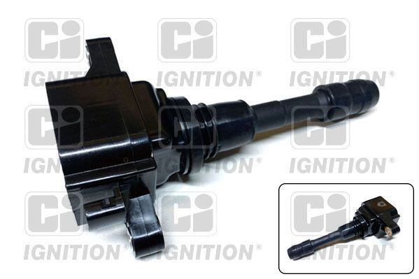 Ritė, uždegimas QUINTON HAZELL XIC8392