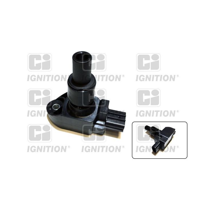 Ritė, uždegimas QUINTON HAZELL XIC8394