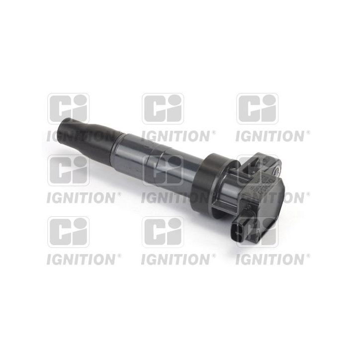 Ritė, uždegimas QUINTON HAZELL XIC8410