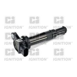 Ritė, uždegimas QUINTON HAZELL XIC8411