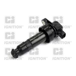 Ritė, uždegimas QUINTON HAZELL XIC8419