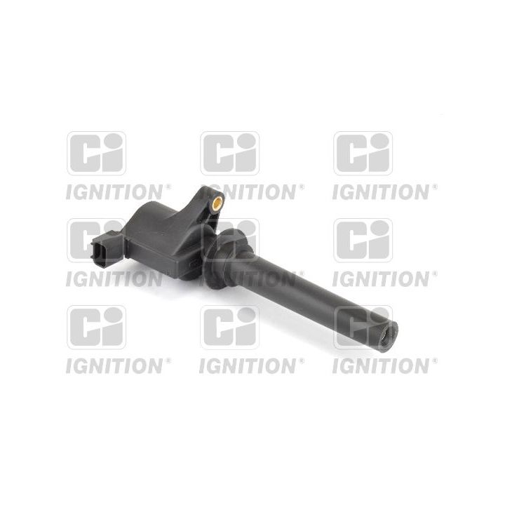 Ritė, uždegimas QUINTON HAZELL XIC8448