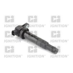 Ritė, uždegimas QUINTON HAZELL XIC8449