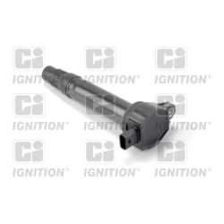 Ritė, uždegimas QUINTON HAZELL XIC8451