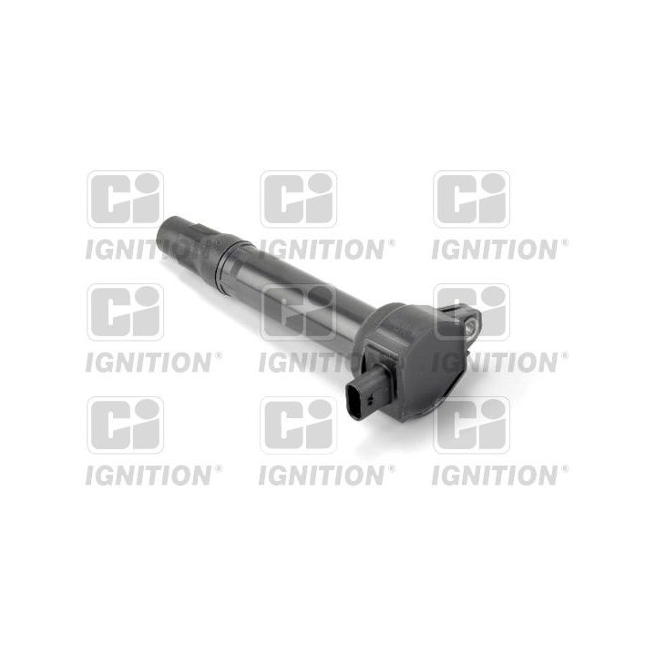 Ritė, uždegimas QUINTON HAZELL XIC8451