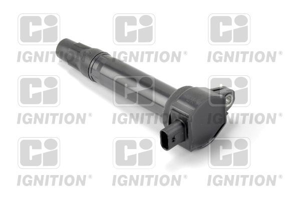 Ritė, uždegimas QUINTON HAZELL XIC8451