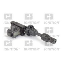 Ritė, uždegimas QUINTON HAZELL XIC8453