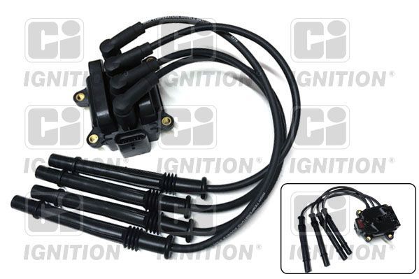 Ritė, uždegimas QUINTON HAZELL XIC8457