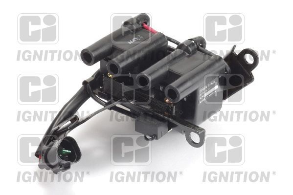 Ritė, uždegimas QUINTON HAZELL XIC8467