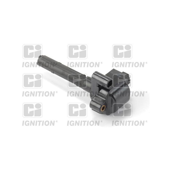 Ritė, uždegimas QUINTON HAZELL XIC8471