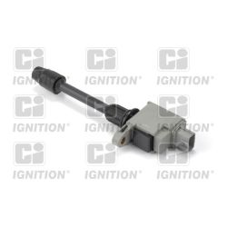 Ritė, uždegimas QUINTON HAZELL XIC8473