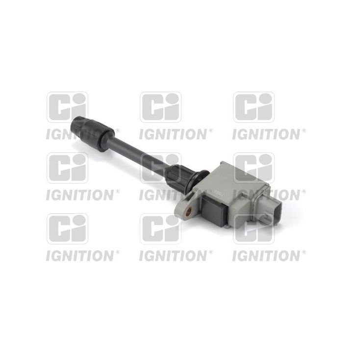 Ritė, uždegimas QUINTON HAZELL XIC8473