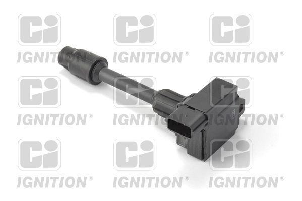 Ritė, uždegimas QUINTON HAZELL XIC8478