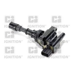 Ritė, uždegimas QUINTON HAZELL XIC8490