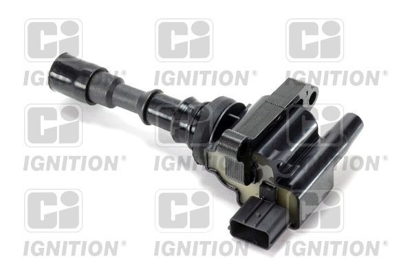 Ritė, uždegimas QUINTON HAZELL XIC8490