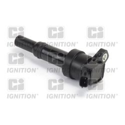 Ritė, uždegimas QUINTON HAZELL XIC8498