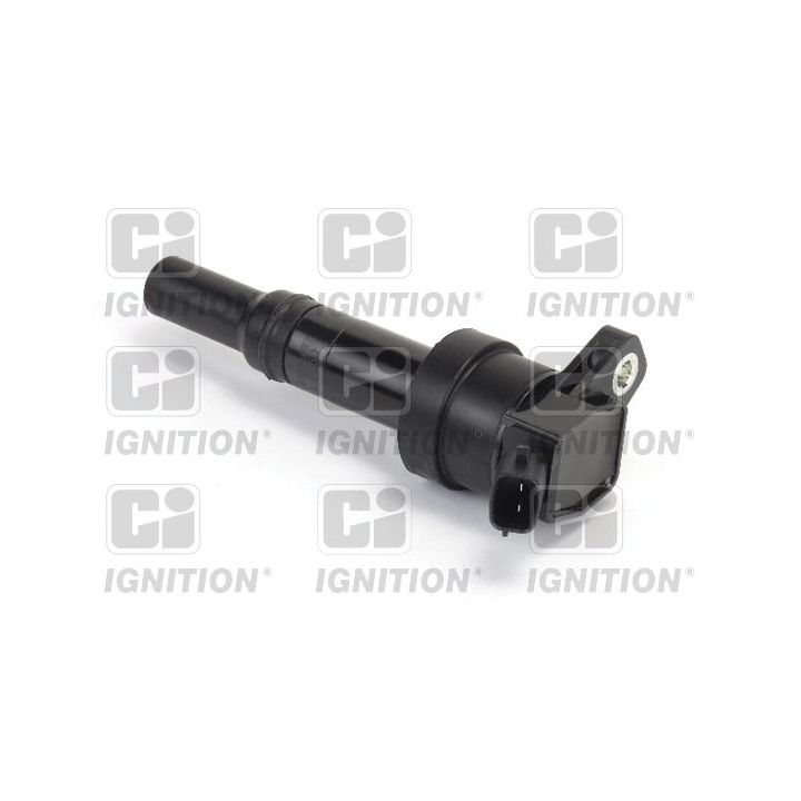 Ritė, uždegimas QUINTON HAZELL XIC8498