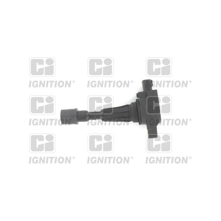 Ritė, uždegimas QUINTON HAZELL XIC8539