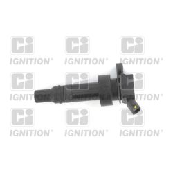 Ritė, uždegimas QUINTON HAZELL XIC8541