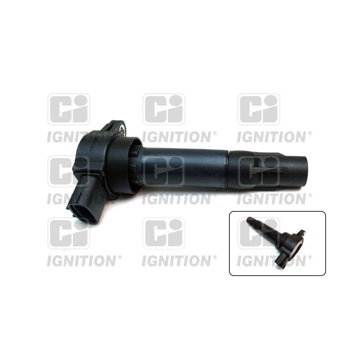 Ritė, uždegimas QUINTON HAZELL XIC8550