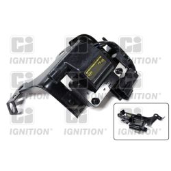 Ritė, uždegimas QUINTON HAZELL XIC8556